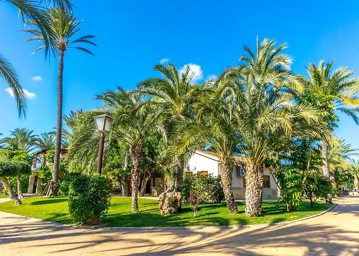 Santa Barbara Elche